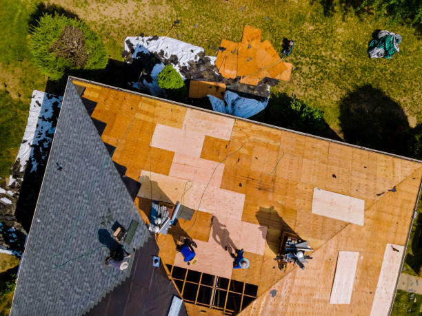 Best Roof Gutter Cleaning  in Auburn Hills, MI
